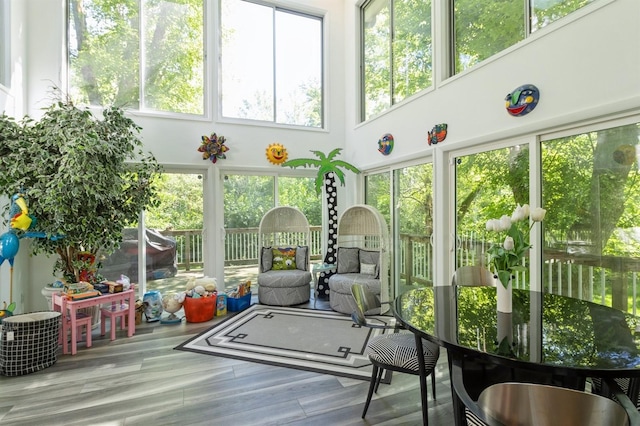 4709 Colt Dr, West Des Moines, IA 50265 - sunroom with a deck, wood finished floors, and a towering ceiling