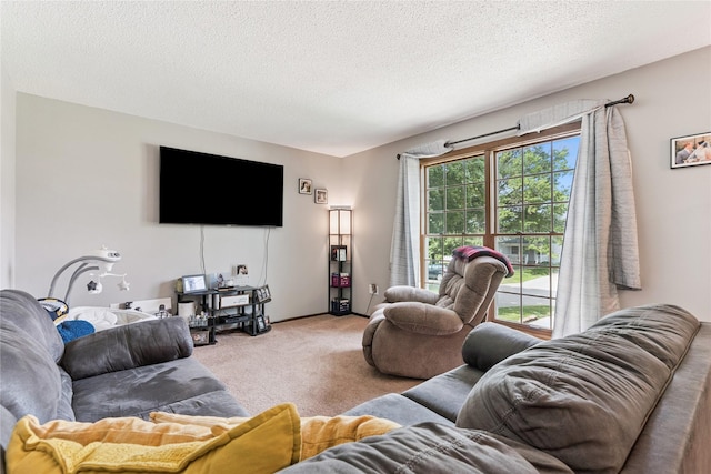 206 Main St, Grinnell, IA 50112 - living area with carpet flooring and a textured ceiling
