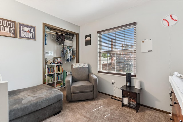 206 Main St, Grinnell, IA 50112 - sitting room with carpet floors and baseboards