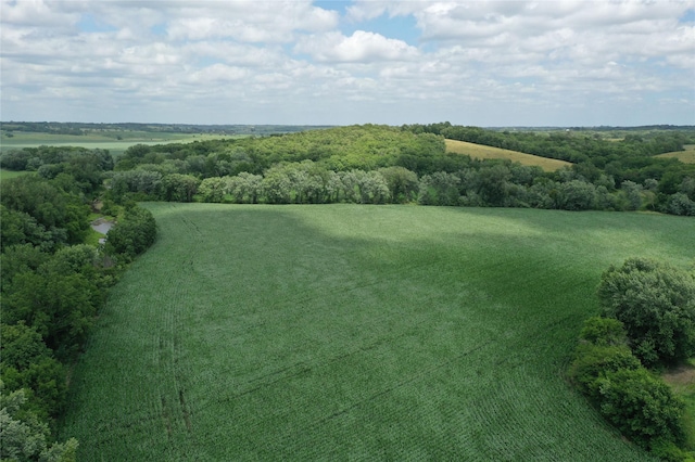 0 Tyler St, Lacona, IA 50139 - photo 4