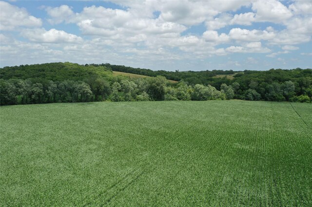 0 Tyler St, Lacona, IA 50139 - photo 6