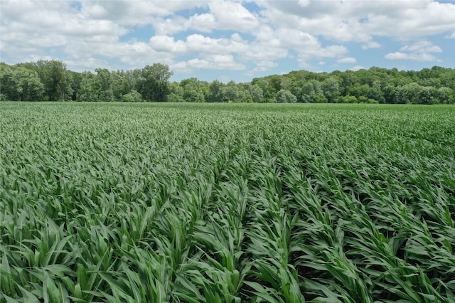 0 Tyler St, Lacona, IA 50139 - photo 8