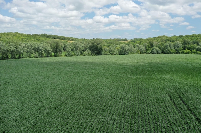 0 Tyler St, Lacona, IA 50139 - photo 9