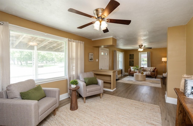 221 9th St, West Des Moines, IA 50265 - living room featuring ceiling fan and wood finished floors