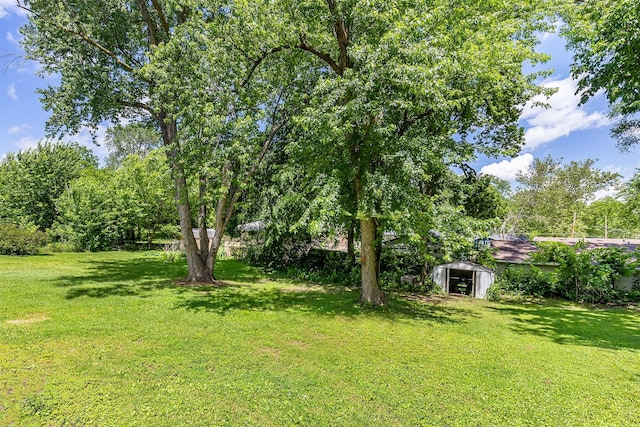 832 E Lacona Ave, Des Moines, IA 50315 - view of grassy yard featuring a storage unit