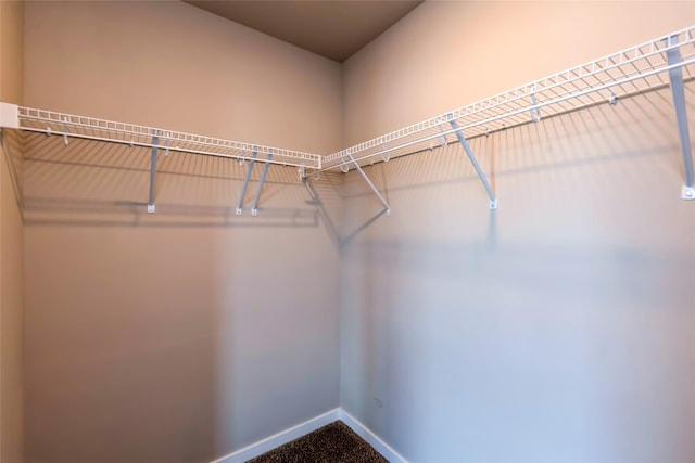4404 NE 16th St, Ankeny, IA 50021 - spacious closet with carpet floors
