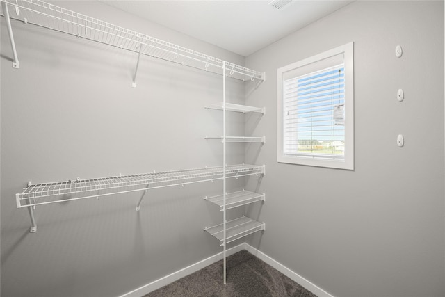 832 Kinney Cir NE, Bondurant, IA 50035 - spacious closet featuring carpet flooring