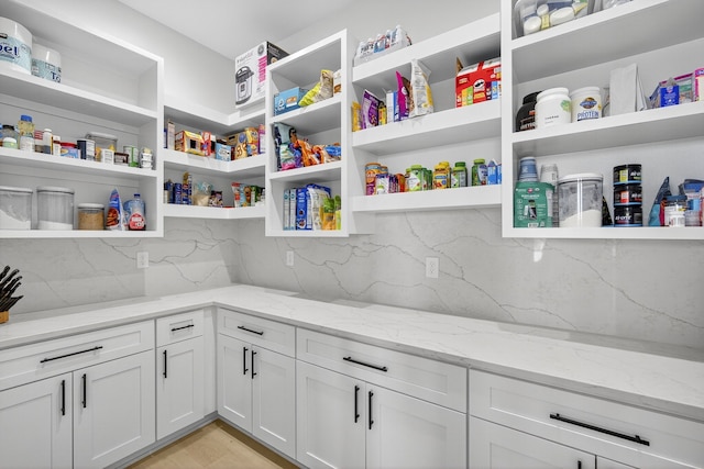 1305 NW 28th St, Grimes, IA 50111 - view of pantry