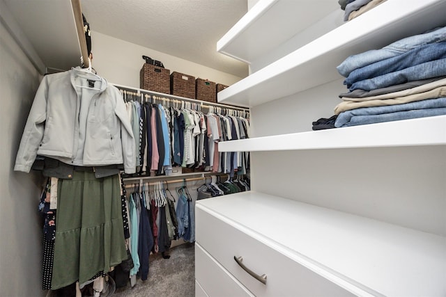 9824 Dunmore Cir, Johnston, IA 50131 - walk in closet featuring carpet