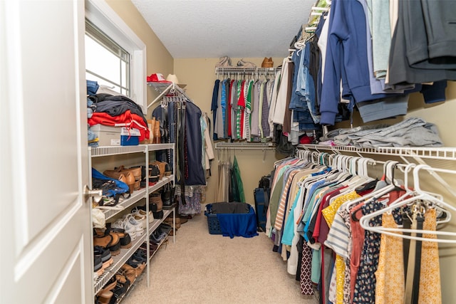 2726 SE 11th St, West Des Moines, IA 50265 - spacious closet with carpet flooring