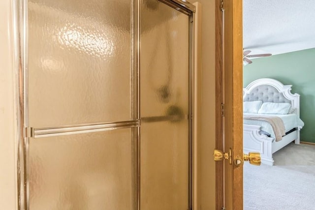 4965 Raintree Dr, West Des Moines, IA 50265 - ensuite bathroom with an enclosed shower and a ceiling fan