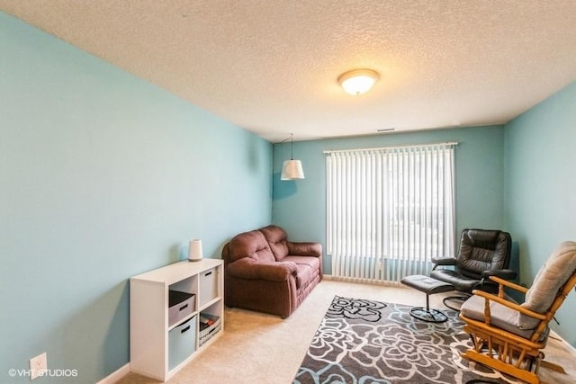4528 NE Mcdougal Ln, Ankeny, IA 50021 - living area with light carpet and a textured ceiling