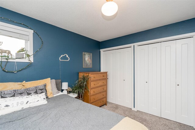 2714 NW Lois Ln, Ankeny, IA 50023 - bedroom featuring carpet flooring and two closets