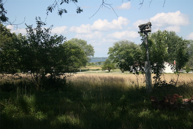13018 137th Ave, Plano, IA 52581 - view of local wilderness