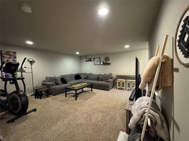 645 Newport Pl, Norwalk, IA 50211 - photo 25