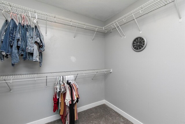 2817 NW Lois Ln, Ankeny, IA 50023 - walk in closet featuring carpet