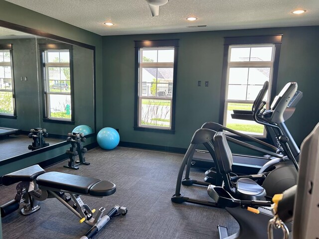 2930 Green Hills Dr, Ames, IA 50014 - workout area featuring a textured ceiling, healthy amount of natural light, recessed lighting, and carpet