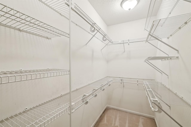 1069 Glen Oaks Dr, West Des Moines, IA 50266 - view of walk in closet
