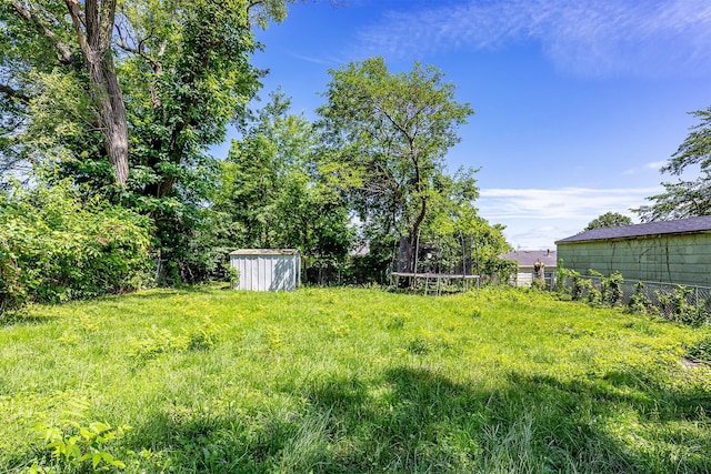 2421 Adams Ave, Des Moines, IA 50310 - view of yard featuring a storage shed