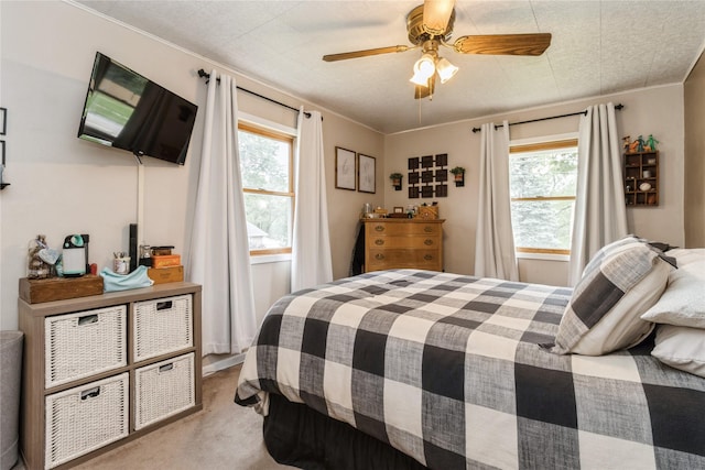 7202 SW 13th St, Des Moines, IA 50315 - photo 19