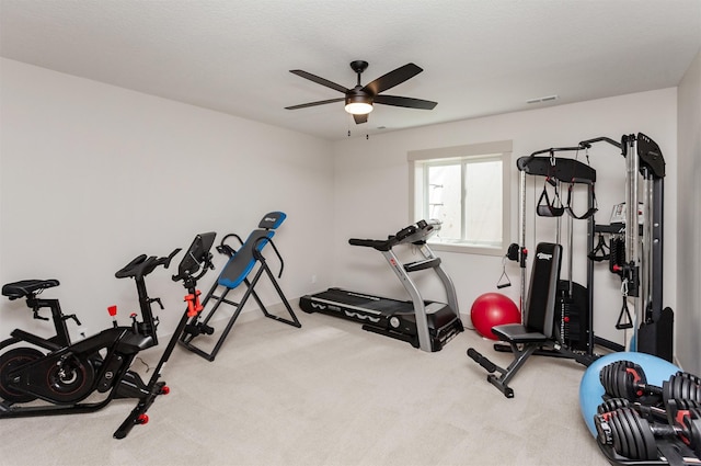 707 Meadow Pointe Ct, Alleman, IA 50007 - photo 27