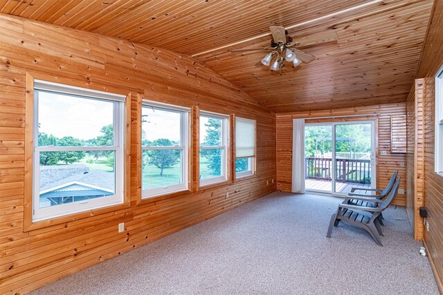 503 E 5th St, Huxley, IA 50124 - unfurnished sunroom with lofted ceiling