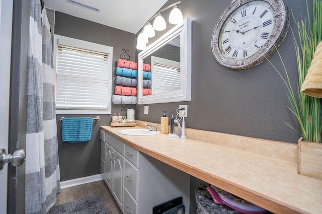 305 E 20th St S, Newton, IA 50208 - bathroom featuring vanity and wood finished floors