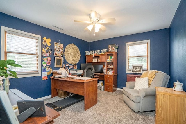 305 E 20th St S, Newton, IA 50208 - office with a ceiling fan and carpet floors