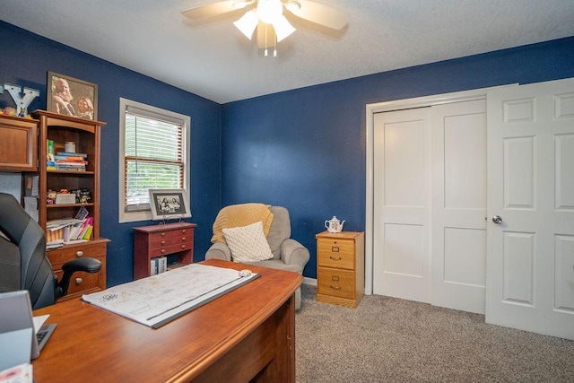 305 E 20th St S, Newton, IA 50208 - carpeted office with a ceiling fan