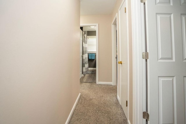 305 E 20th St S, Newton, IA 50208 - hallway featuring light colored carpet and baseboards