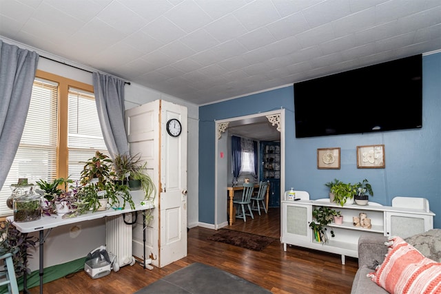 2003 Carroll St, Boone, IA 50036 - living room with wood finished floors and radiator heating unit