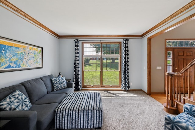 940 High Ave, Newton, IA 50208 - carpeted living room featuring healthy amount of natural light, crown molding, and stairway