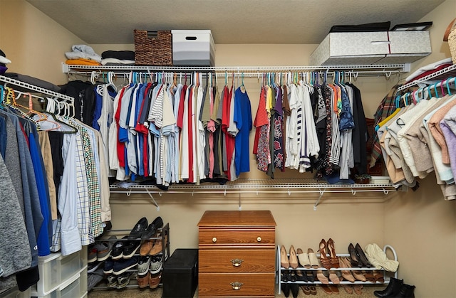 358 S 85th St, West Des Moines, IA 50266 - view of spacious closet