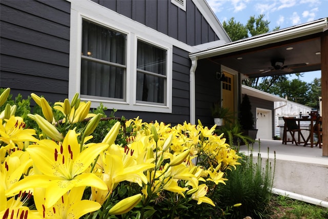 344 S 1st St, Ogden, IA 50212 - view of side of property with board and batten siding and ceiling fan