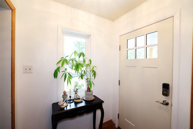 344 S 1st St, Ogden, IA 50212 - doorway to outside featuring plenty of natural light and ornamental molding