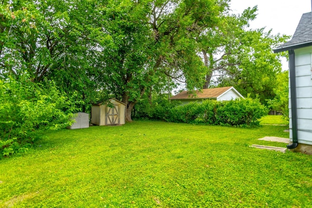 1054 14th St, Des Moines, IA 50314 - view of green lawn with a storage unit