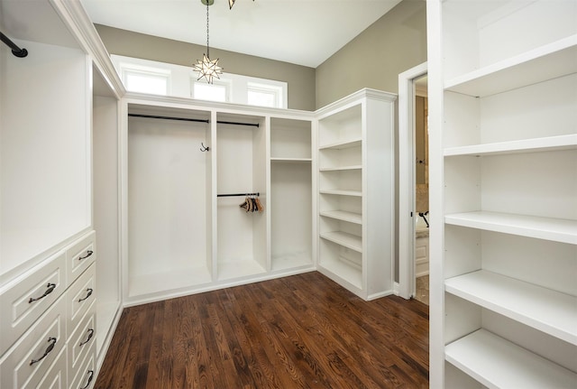4701 150th St, Urbandale, IA 50323 - spacious closet with dark wood-type flooring