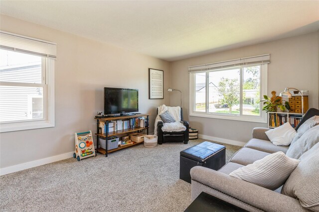 311 W 15th St N, Newton, IA 50208 - living room featuring carpet floors