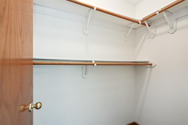2907 E 43rd St, Des Moines, IA 50317 - view of spacious closet