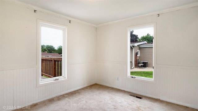 808 E 8th St S, Newton, IA 50208 - spare room featuring plenty of natural light, a wainscoted wall, crown molding, and carpet floors