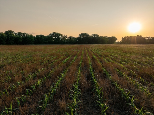 00 113th Ave, Norwalk, IA 50211 - photo 4