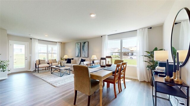 1308 NE Country Meadow Dr, Ankeny, IA 50021 - photo 5