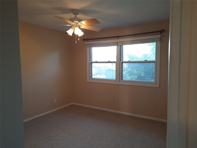 1015 NW Greenwood St, Ankeny, IA 50023 - photo 5