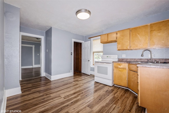 925 Laurel St, Des Moines, IA 50314 - kitchen with white electric range oven and dark wood finished floors