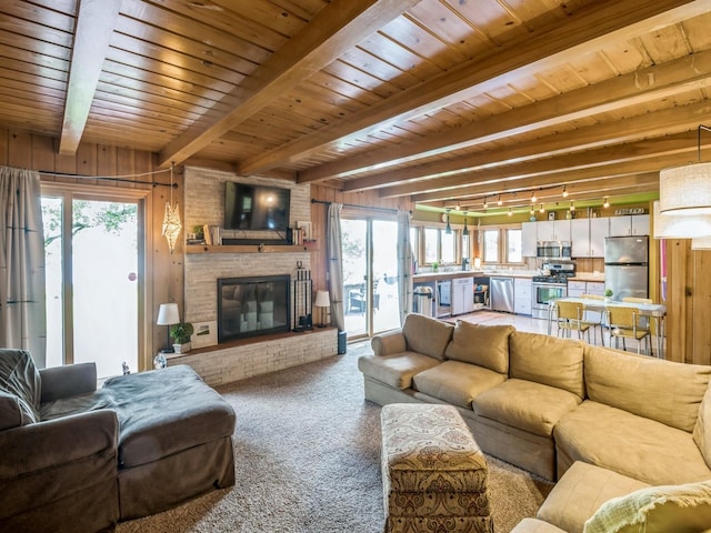 470 Juniper Ave, Kellogg, IA 50135 - living area with a wood ceiling with exposed beams, carpet flooring, a brick fireplace, plenty of natural light, and track lighting