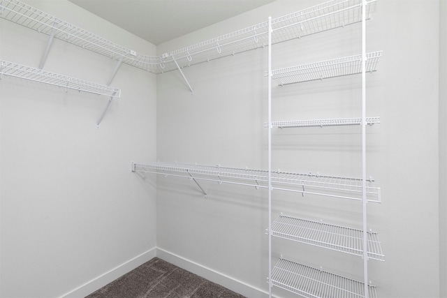 15321 Goldenrod Dr, Urbandale, IA 50323 - spacious closet with dark carpet