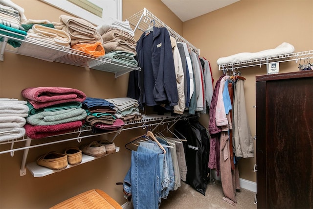 1592 SE Blackthorne Dr, Waukee, IA 50263 - walk in closet featuring carpet flooring