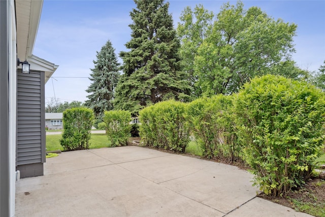8066 Pilmer Dr, Des Moines, IA 50320 - view of patio / terrace