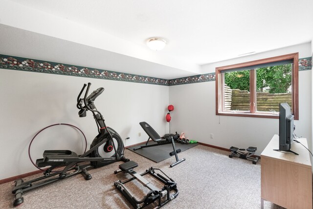 3124 Greenwood Rd, Ames, IA 50014 - exercise room featuring carpet floors and baseboards