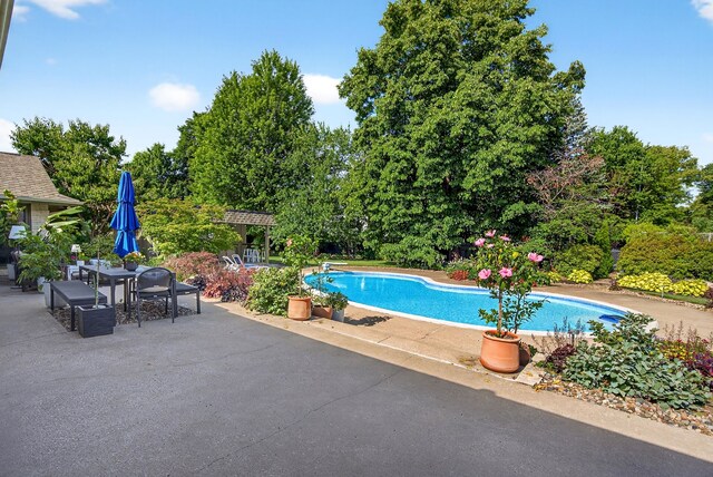 4130 Beaver Ave, Des Moines, IA 50310 - swimming pool with a patio, a diving board, view of wooded area, and outdoor dining space